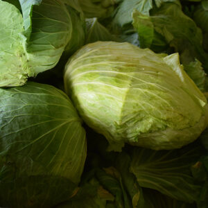 Bienvenue sur le site de notre ferme solidaire en maraîchage biologique :) (site en construction) Mon Panier Bio : Chou Blanc Impala